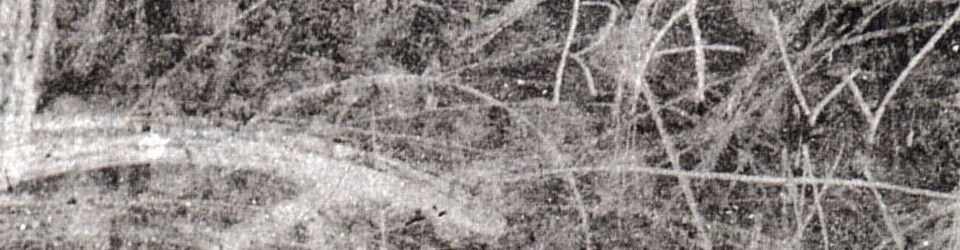 Maximizing AO2 marks… | Logos